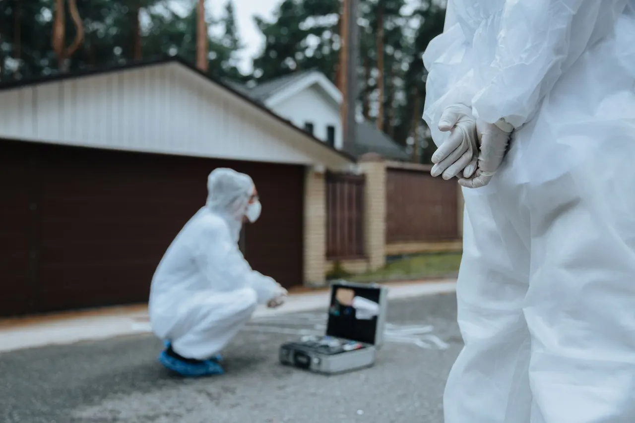 leak detection in Palmetto