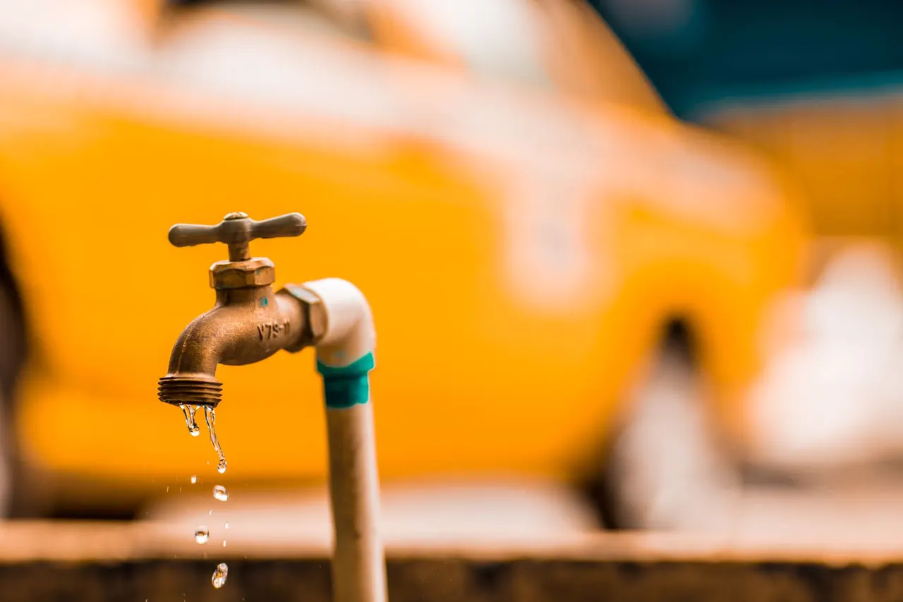 leak detection in Nokomis